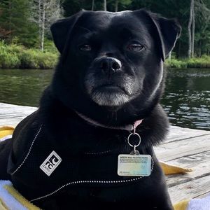 Meet your Posher, Anna